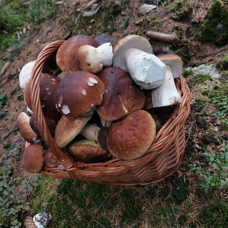 Hostinec U Pejska A Kocicky มาเรียอานซเกลาซนี ภายนอก รูปภาพ